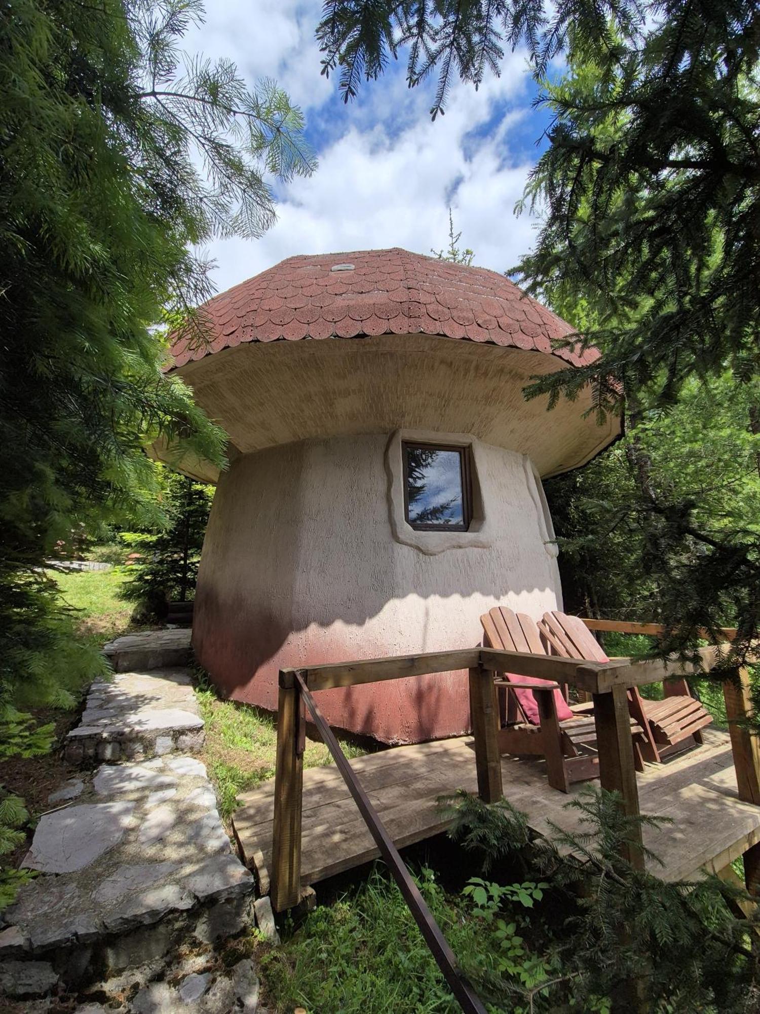 Art Minic Casa di campagna *